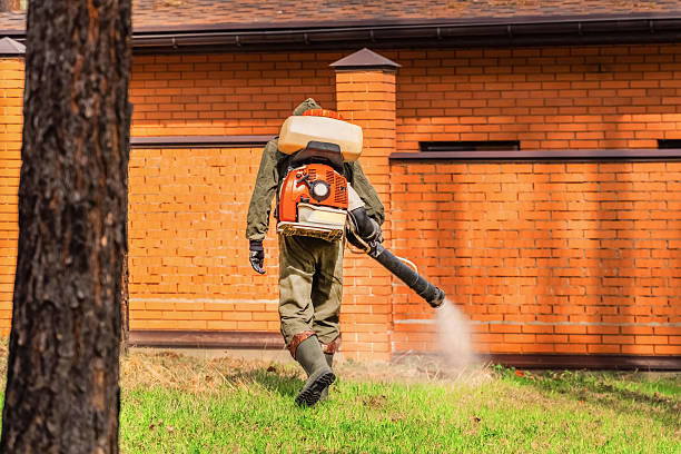 Trusted Ant Control service in Five Points, NC - Nex Pest Control